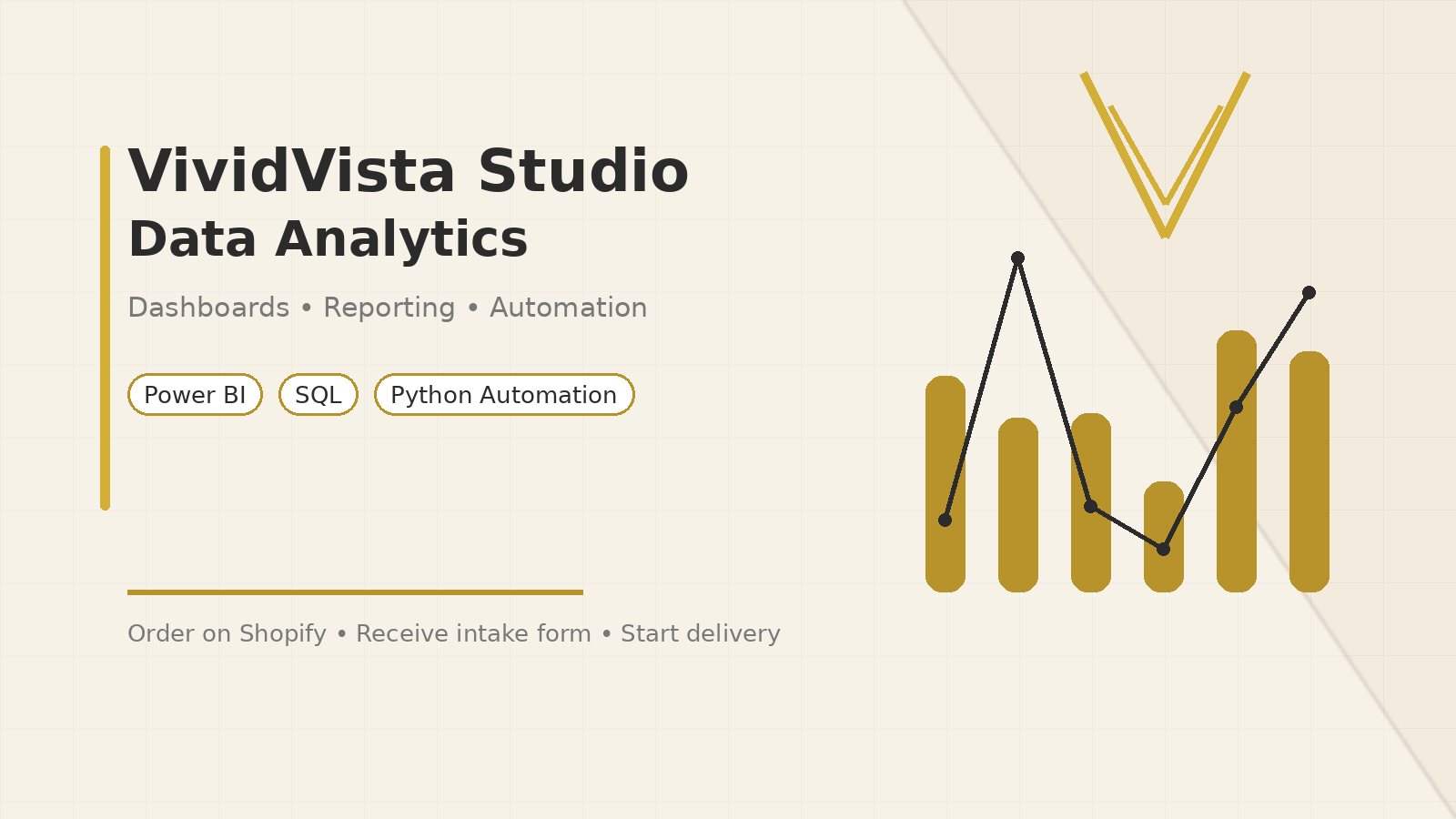 Data Insights Audit – Clean, Analyze & Summarize (Starter Package)